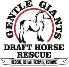 Gentle Giants Draft Horse Rescue — Pole Fitness Studio, Las Vegas