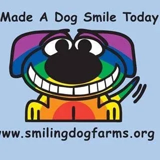 Smiling Dog Farms — Pole Fitness Studio, Las Vegas
