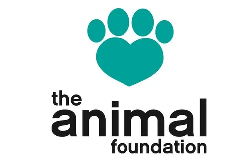 The Animal Foundation at Pole Fitness Studio in Las Vegas